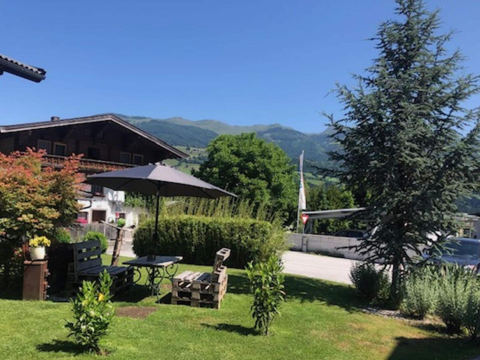 Апартаменти Flat South Of Kitzb Hel With Nationalparkcard Голлерсбах-ім-Пінцґау Екстер'єр фото